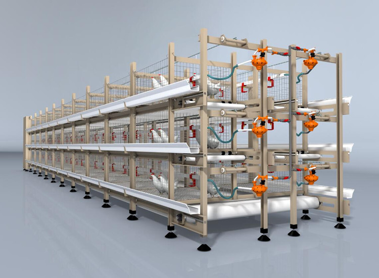 H Type Automated Broiler Cage system